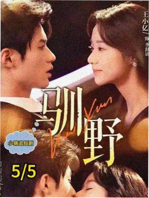 连续剧《半城烟火》都市情感题材封面